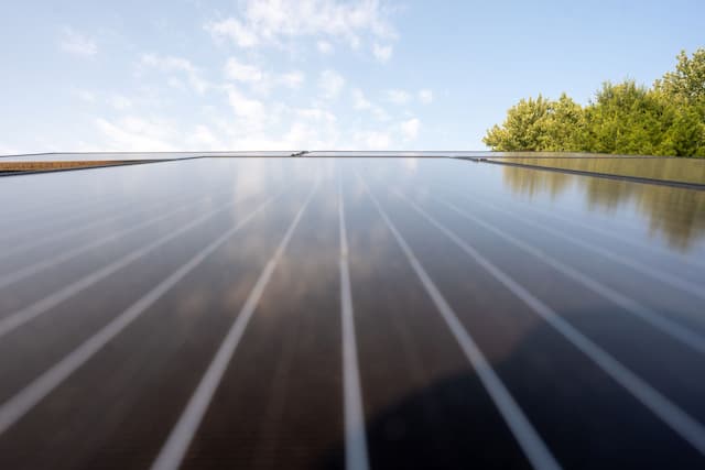 Solar panel maintenance and damage: what every homeowner should know